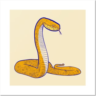 Golden snake Posters and Art